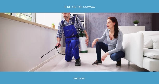 PEST CONTROL Goodview